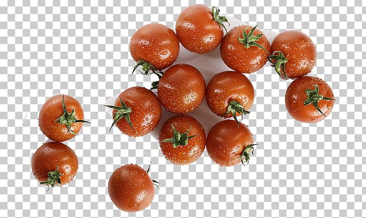 Cherry Tomato Salad Vegetable Stock Photography PNG, Clipart, Basil, Bush Tomato, Cherry, Cherry Tomatoes, Drops Free PNG Download