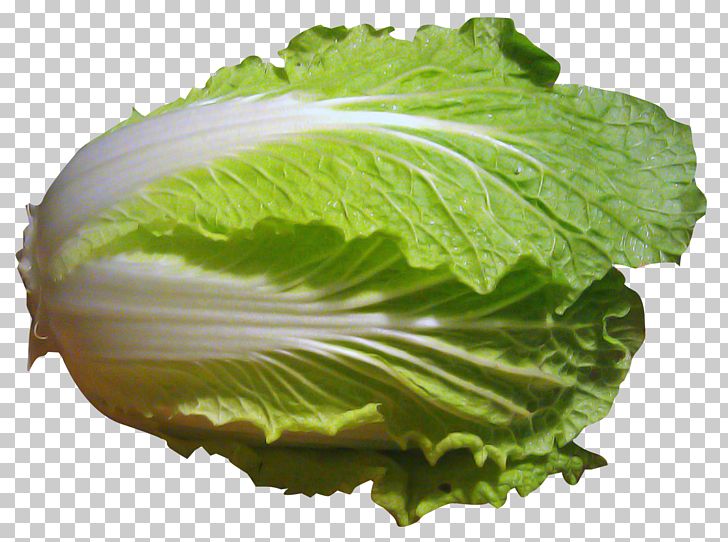 Napa Cabbage Romaine Lettuce Chinese Cabbage PNG, Clipart, Cabbage, Chinese Cabbage, Collard Greens, Food, Komatsuna Free PNG Download