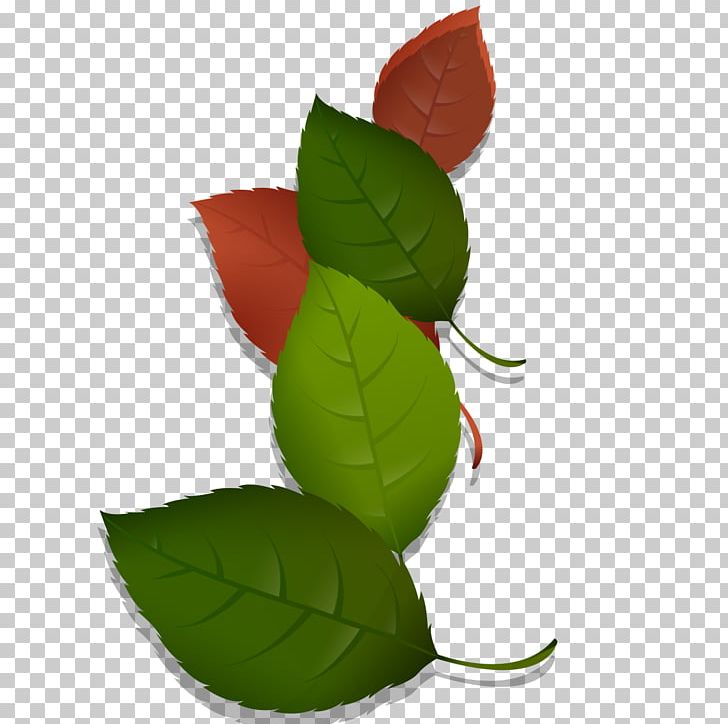 Green Leaf Autumn PNG, Clipart, Autumn, Autumn Leaves, Color, Computer Wallpaper, Encapsulated Postscript Free PNG Download