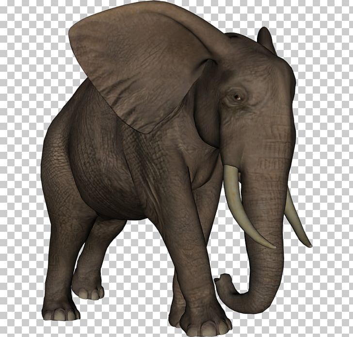 Indian Elephant African Elephant Elephantidae Tusk Animal PNG, Clipart, African Elephant, Animal, Asian Elephant, Child, Dieren Free PNG Download