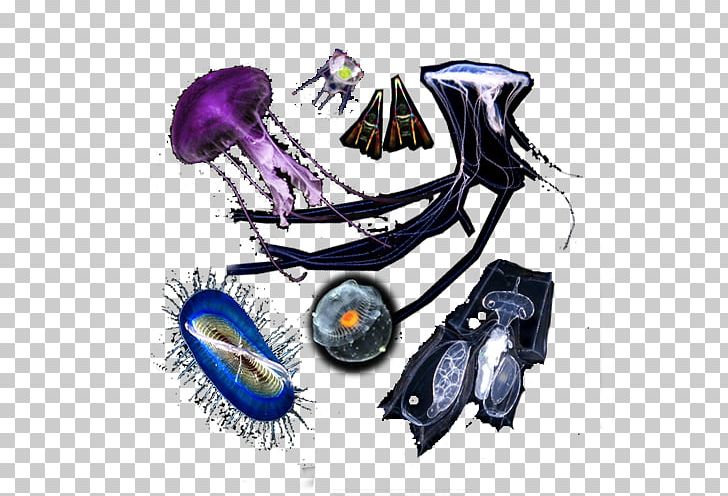 Plankton Organism Marine Biology Diatom PNG, Clipart, Automotive Design, Cartoon, Diatom, Drawing, French Riviera Free PNG Download