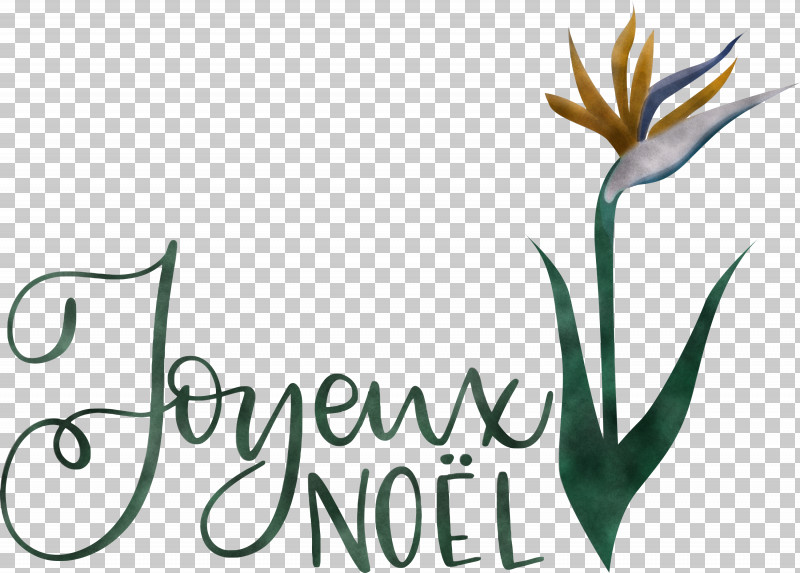 Noel Nativity Xmas PNG, Clipart, Autumn, Christmas, Clothing, Cut Flowers, Logo Free PNG Download