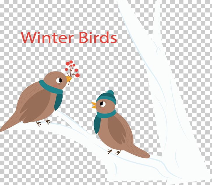 Bird Winter Euclidean PNG, Clipart, Beak, Bird, Bird Cage, Birds, Birds Vector Free PNG Download
