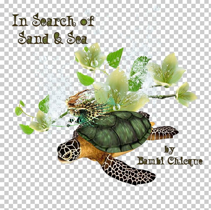 Box Turtles Tortoise Second Life Sand PNG, Clipart, Animals, Box Turtle, Box Turtles, Emydidae, Fauna Free PNG Download