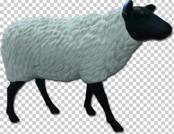Sheep Wool Snout Animal PNG, Clipart, Animal, Animal Figure, Animals, Cow Goat Family, Goat Antelope Free PNG Download