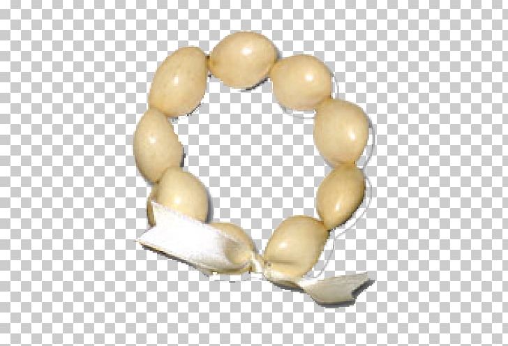 Bracelet Candlenut Lei Maui Tung Oil Png Clipart Bracelet - bracelet candlenut lei maui tung oil png clipart bracelet candlenut ebay google google trends free pn!   g download