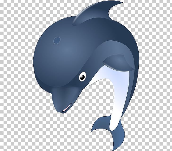 Common Bottlenose Dolphin PNG, Clipart, Beak, Bicycle Helmet, Bottlenose Dolphin, Cartoon Dolphin, Common Bottlenose Dolphin Free PNG Download