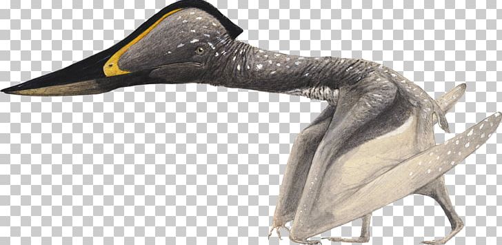 Pterosaurs Jidapterus Flying Reptiles Azhdarchidae Beak PNG, Clipart, Age Of Dinosaurs, Animal, Animal Figure, Azhdarchidae, Beak Free PNG Download