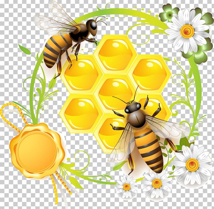 Bee Can Stock Photo Stock Photography PNG, Clipart, Arthropod, Bee, Beeswax, Can Stock Photo, Flower Free PNG Download