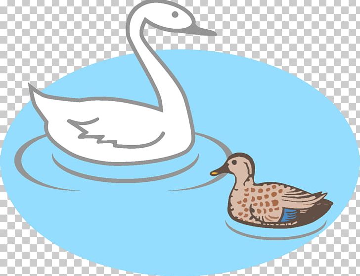Duck Goose PNG, Clipart, Animal, Animals, Beak, Bird, Cartoon Free PNG Download