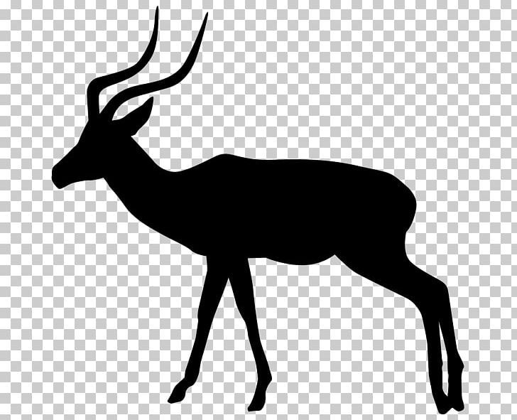 Gazelle Antelope PNG, Clipart, Animal, Animals, Antelope, Antler, Black And  White Free PNG Download