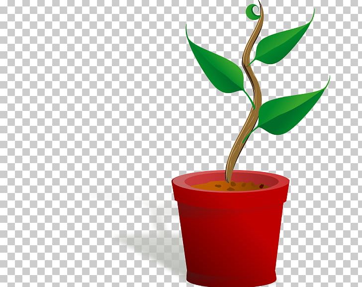 Houseplant PNG, Clipart, Botany, Computer Icons, Cup, Drawing, Flower Free PNG Download