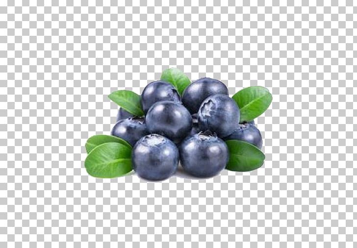 Juice Fruit Blueberry Seed Bilberry PNG, Clipart, Antioxidant, Food, Free Logo Design Template, Freezedrying, Green Apple Free PNG Download