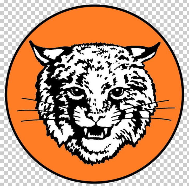 Tiger Northeastern Senior High School Whiskers Bobcat PNG, Clipart, Animals, Area, Art, Big Cats, Black Free PNG Download