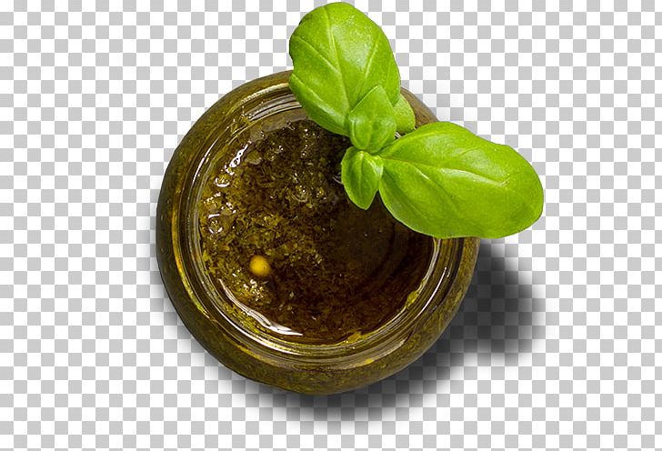 Basil Leaf Vegetable Herbalism PNG, Clipart, Basil, Herb, Herbalism, Leaf Vegetable, Others Free PNG Download