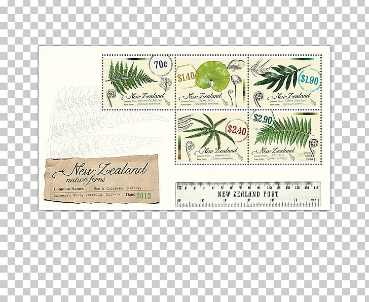 Ferns Of New Zealand Silver Fern Burknar PNG, Clipart, Asplenium, Botany, Burknar, Currency, Fern Free PNG Download