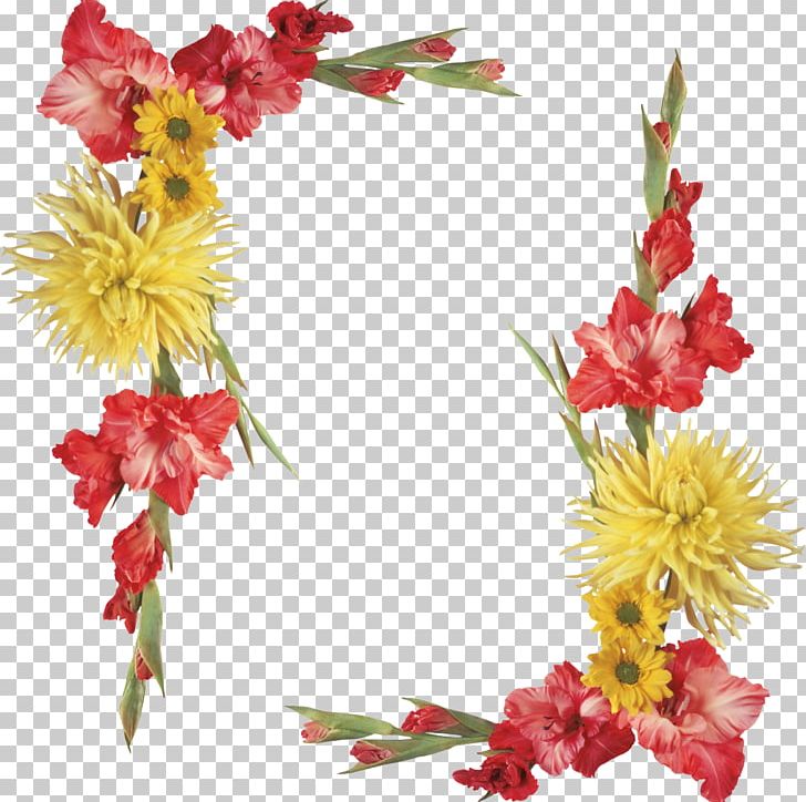 Flower Biology Ornament Vignette Photography PNG, Clipart, Art, Artificial Flower, Border Floral Design, Border Frame, Cell Free PNG Download