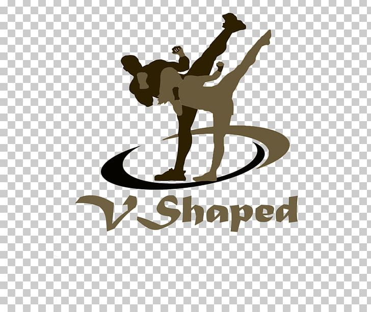 Tae Bo Shell Shock Fitness Exercise Physical Fitness Fitness Boot Camp PNG, Clipart, Bodybuilding, Brand, Dumbbell, Exercise, Fitness Boot Camp Free PNG Download