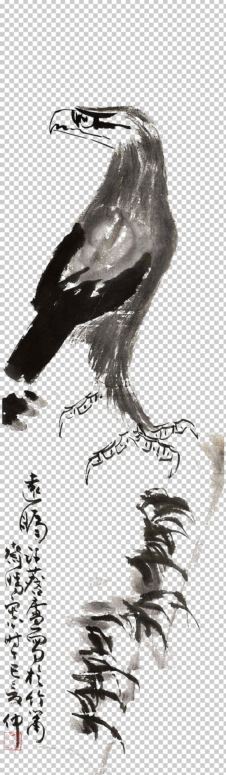 U6c34u58a8u753bu9e70 Ink Wash Painting PNG, Clipart, Advertising, Beak, Bird, Bird Of Prey, Black And White Free PNG Download