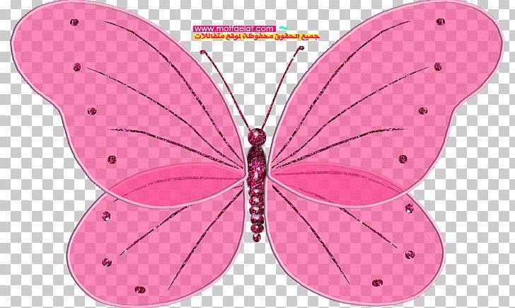 Blingee Photobucket PNG, Clipart, 5 L, Animation, Blingee, Blog, Brush Footed Butterfly Free PNG Download