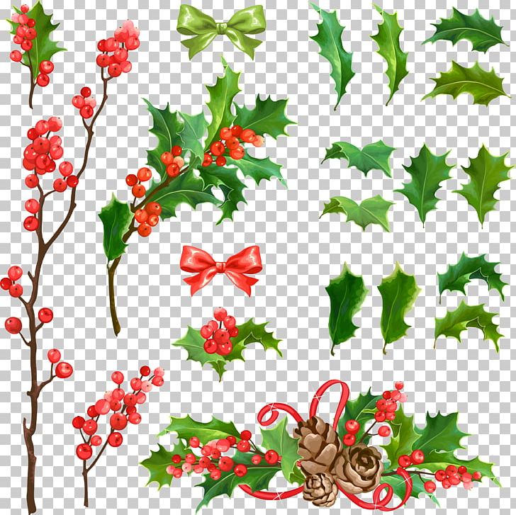 Common Holly Christmas Decoration Euclidean PNG, Clipart, Border, Bow, Branch, Chinese Style, Christmas Frame Free PNG Download