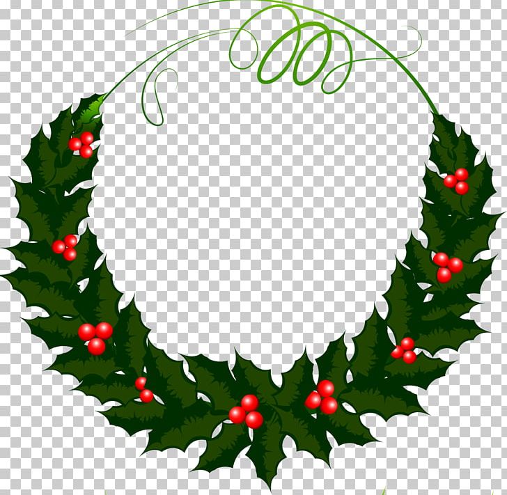 Holly Wreath Photography Leaf PNG, Clipart, Aquifoliaceae, Aquifoliales, Christmas, Christmas Decoration, Christmas Ornament Free PNG Download