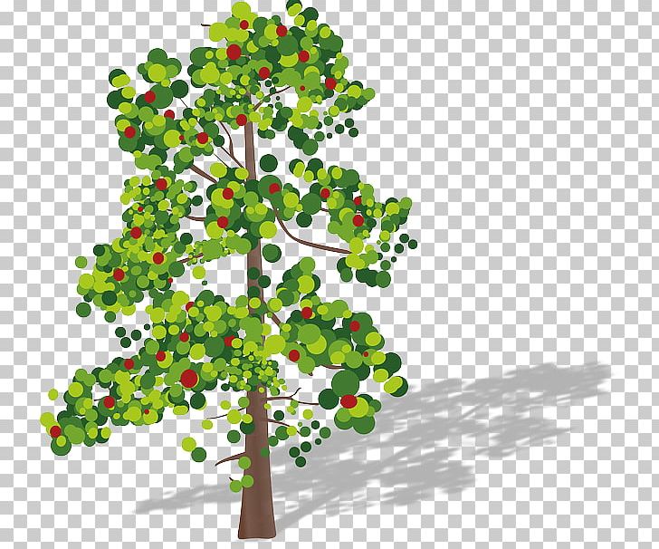 Tree Aspen PNG, Clipart, Albero, Aspen, Branch, Christmas Tree, Computer Icons Free PNG Download