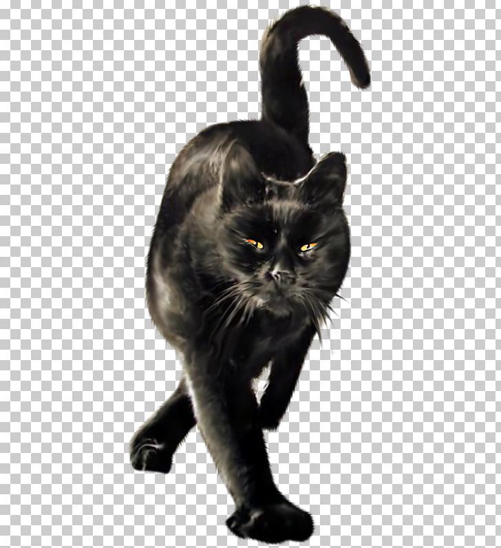 Black Cat Wildcat Domestic Short-haired Cat Le Chat Noir PNG, Clipart, Animals, Black, Black Cat, Bombay, Carnivoran Free PNG Download