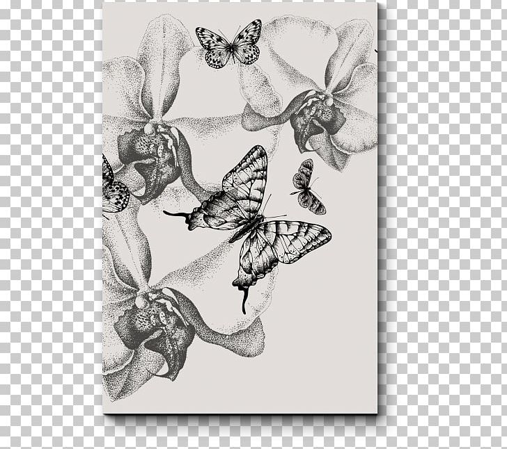 Butterfly Drawing Orchids Ophrys Insectifera PNG, Clipart, Art, Black And White, Butterfly Gardening, Common Milkweed, Desktop Wallpaper Free PNG Download