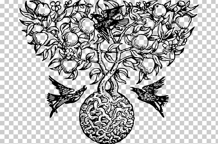 Drawing Fruit Tree PNG, Clipart, Apple, Art, Artwork, Black And White, Circle Free PNG Download