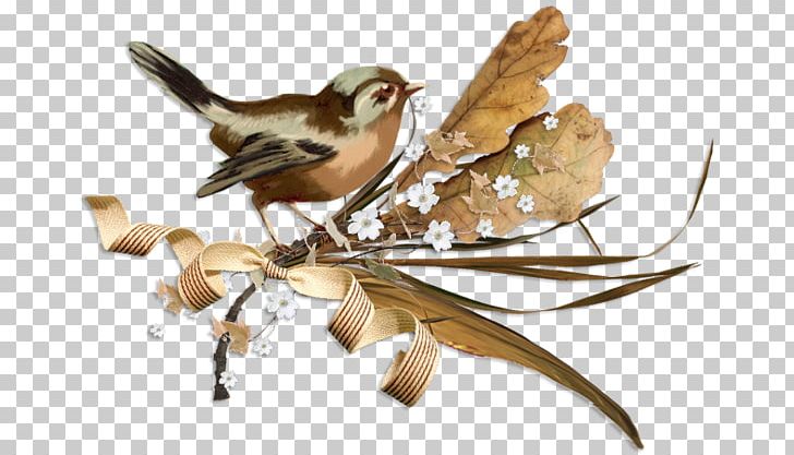 House Sparrow Bird PNG, Clipart, American Sparrows, Animals, Autumn, Beak, Bird Free PNG Download