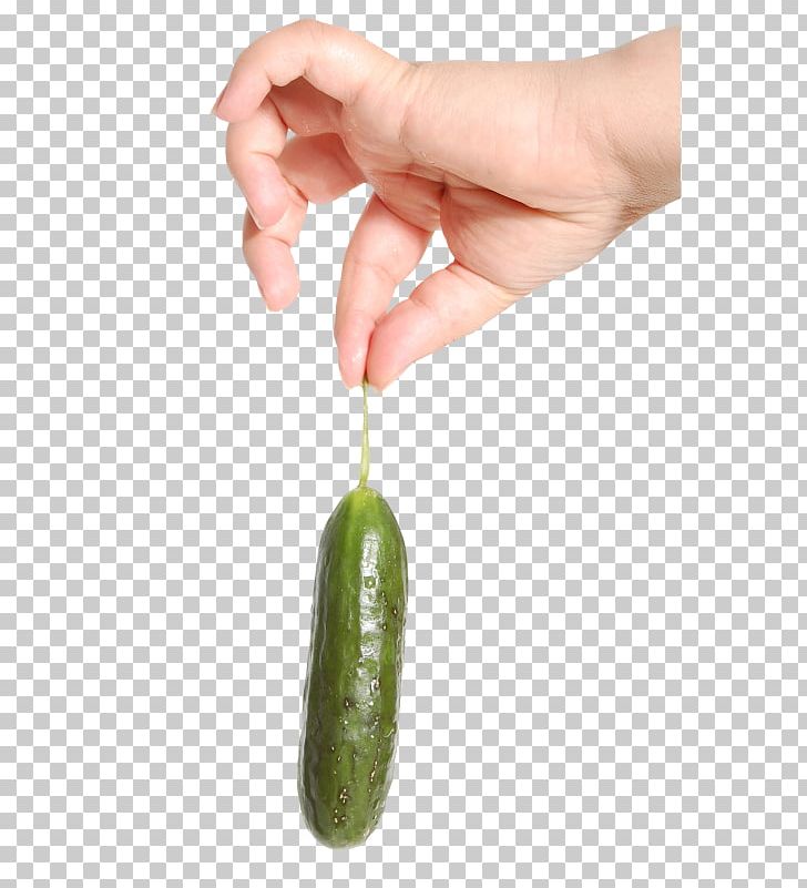 Cucumber Vegetable Fruit Hand PNG, Clipart, Cucumber, Finger, Fruit, Garnish, Hand Free PNG Download