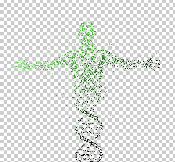 DNA Sequencing Genome Genealogical DNA Test Genetics PNG, Clipart, Art, Biology, Cell, Dna, Dna Sequencing Free PNG Download