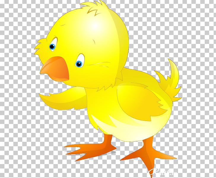 Duck Easter Bunny Chicken PNG, Clipart, Animals, Beak, Bird, Chicken, Duck Free PNG Download