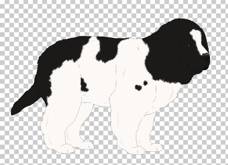 English Springer Spaniel Drentse Patrijshond Puppy Dog Breed Welsh Springer Spaniel PNG, Clipart, Animals, Breed, Carnivoran, Dog, Dog Breed Free PNG Download