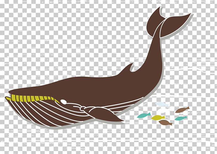 Euclidean Drawing Whale PNG, Clipart, Animals, Beak, Bird, Cartoon, Cartoon Whale Free PNG Download