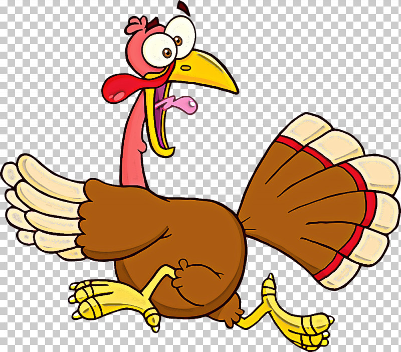 Cartoon Turkey Wing Bird Beak PNG, Clipart, Beak, Bird, Cartoon, Turkey, Wing Free PNG Download