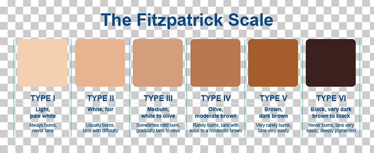 Human Skin Color Fitzpatrick Scale Light Skin PNG, Clipart, Brand, Color, Complexion, Diagram, Evolution Free PNG Download