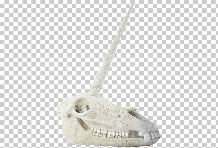 Skull Bone Human Skeleton Horn PNG, Clipart, Bone, Collectable, Face, Fantasy, Head Free PNG Download
