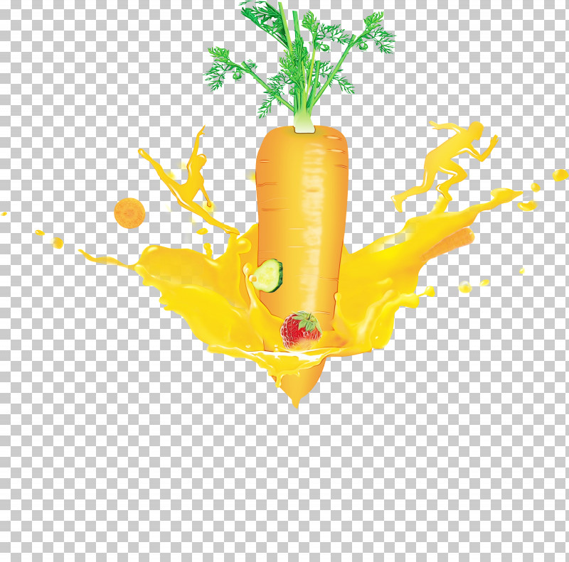 Plant Stem Vegetable Yellow Meter Plant PNG, Clipart, Biology, Meter, Paint, Plant, Plant Stem Free PNG Download