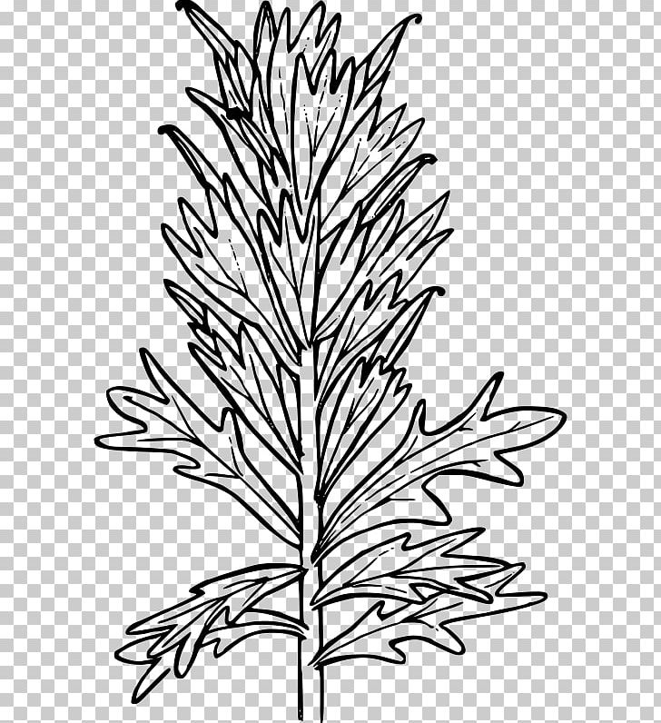 Coloring Book Paintbrush PNG, Clipart, Black And White, Branch, Color, Color Chart, Coloring Book Free PNG Download