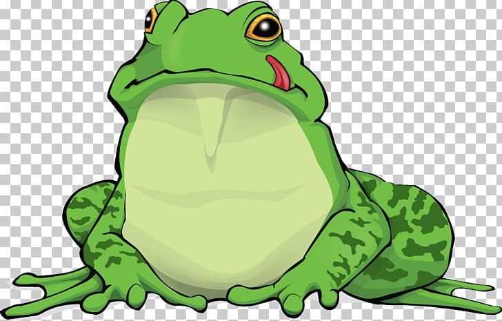 True Frog PNG, Clipart, American Bullfrog, Amphibian, Animals, Clip Art, Computer Software Free PNG Download