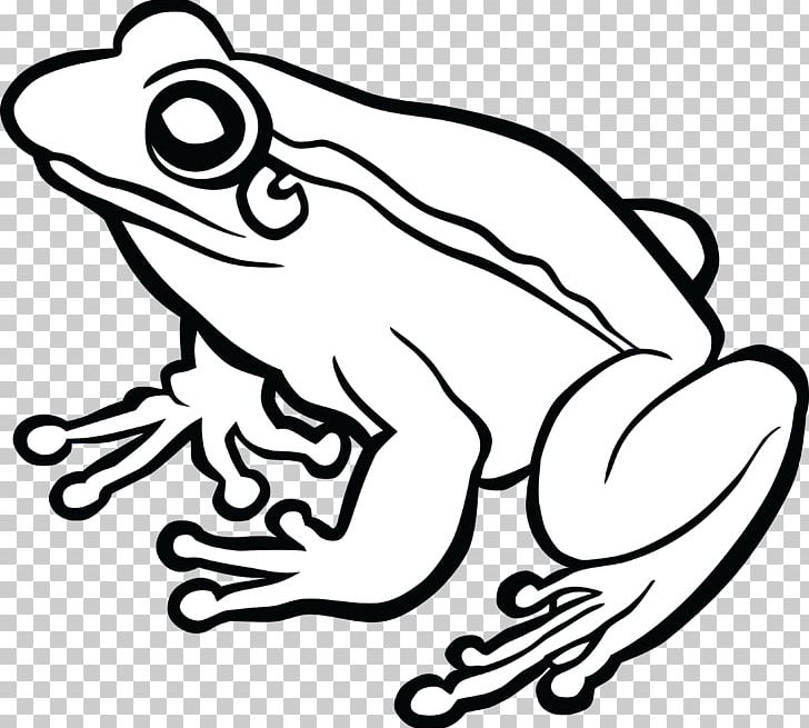 Frog Line Art Drawing PNG, Clipart, Amphibian, Animals, Art, Artwork, Black And White Free PNG Download