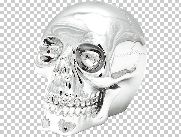Skull Resin Casting Jaw Price PNG, Clipart, Body Jewelry, Bone, Death, Electroplating, Erasmus Darwin Free PNG Download
