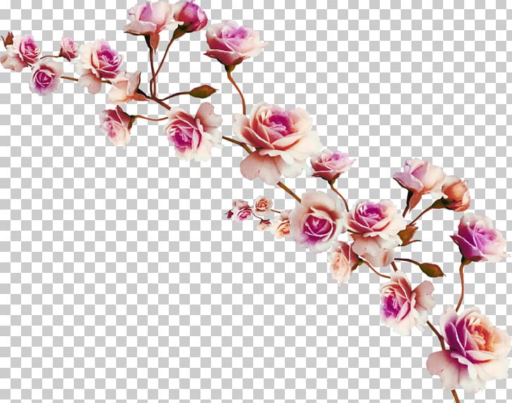 Digital PNG, Clipart, Archive File, Blossom, Branch, Cherry Blossom, Clip Art Free PNG Download