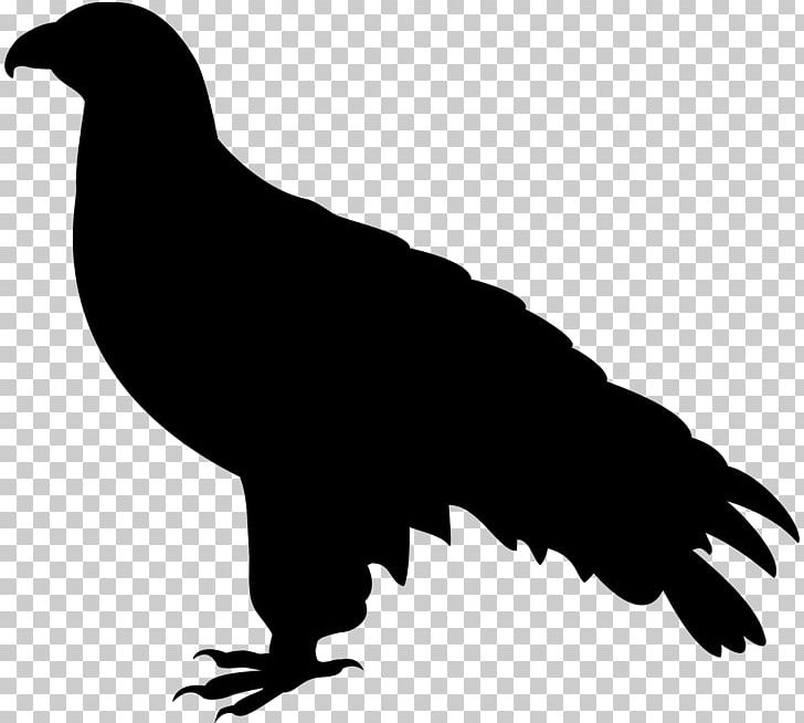 Stock Illustration Adobe Illustrator PNG, Clipart, Beak, Bird, Bird Of Prey, Black And White, Clipart Free PNG Download