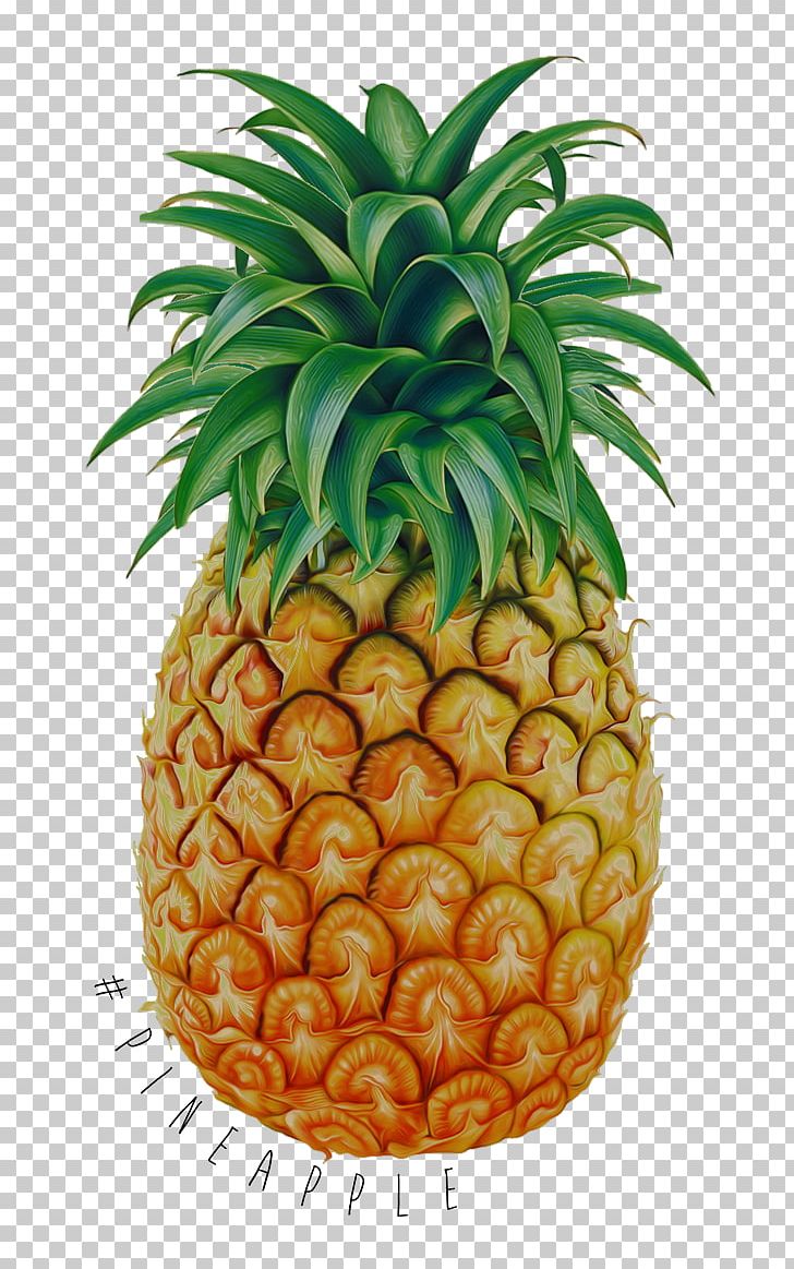 Tropical Fruit Pineapple Drawing PNG, Clipart, Ananas, Apple, Auglis, Bromeliaceae, Cherimoya Free PNG Download