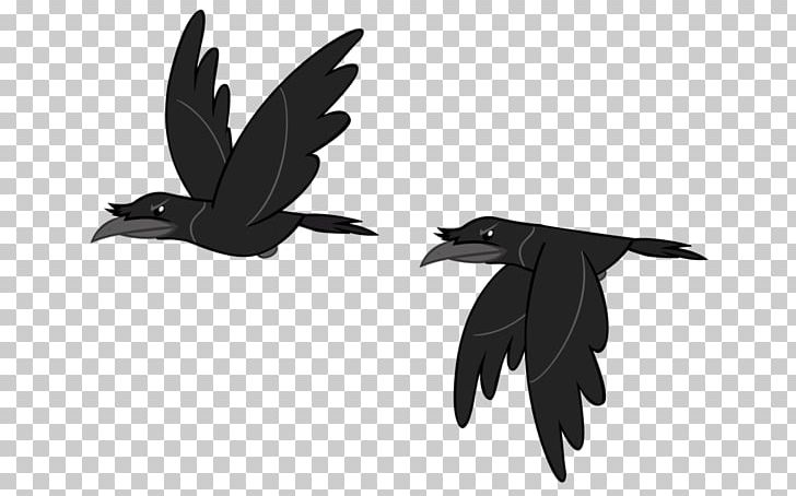 Bird Rook Crow PNG, Clipart, Art, Beak, Bird, Black And White, Common Raven Free PNG Download
