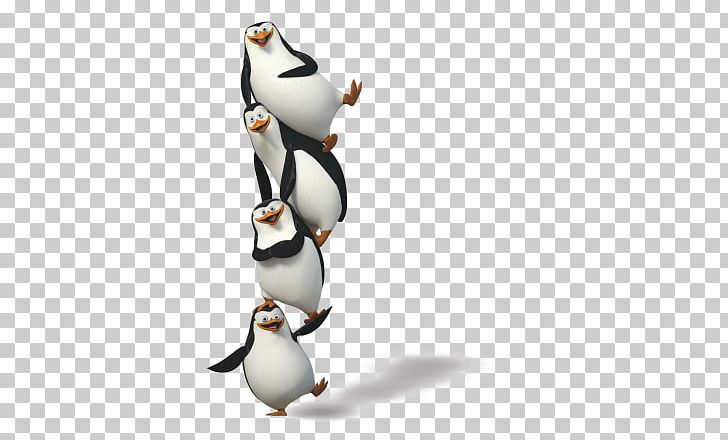 Madagascar Penguins PNG, Clipart, Madagascar Penguins Free PNG Download