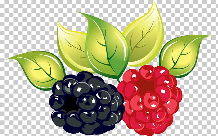 Raspberry Blackberry PNG, Clipart, Auglis, Berry, Blackberry, Download, Food Free PNG Download